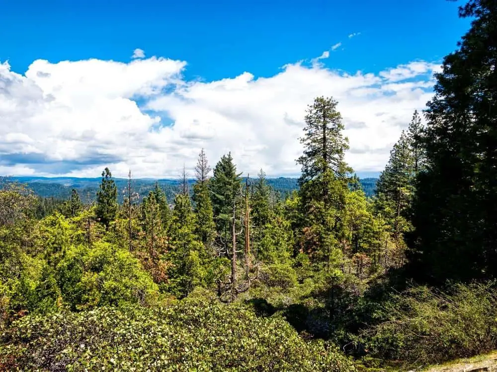 Calaveras Big Tree State Park