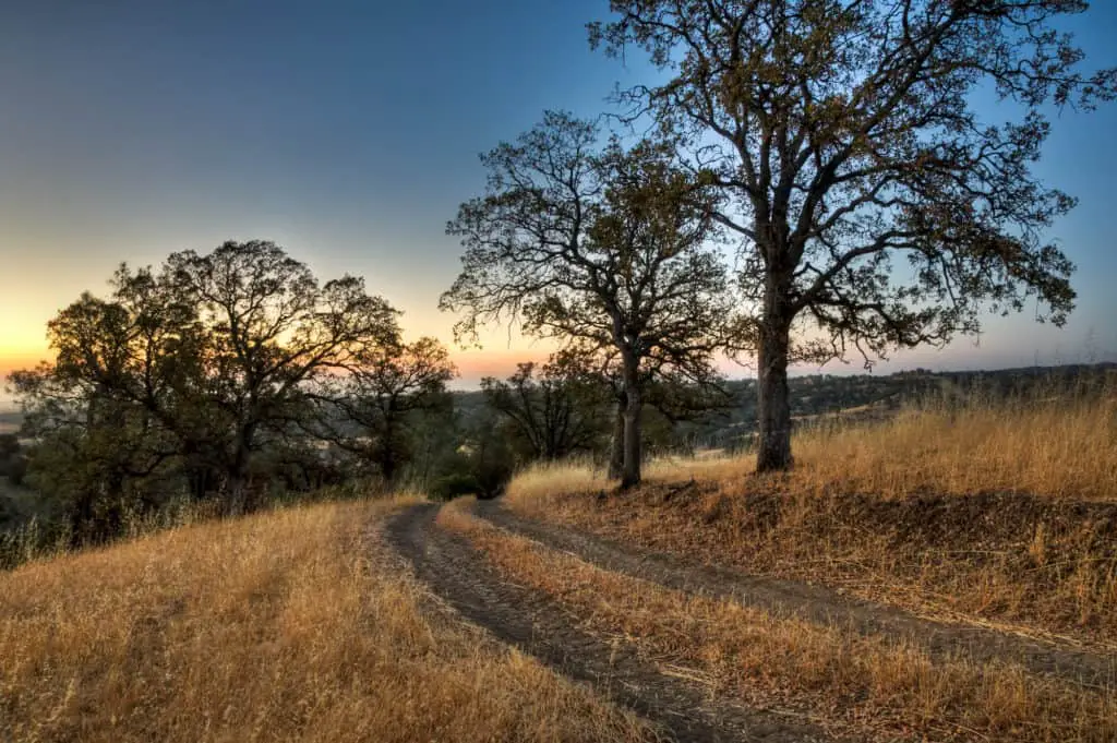 Colusa County Sunset On A Ranch