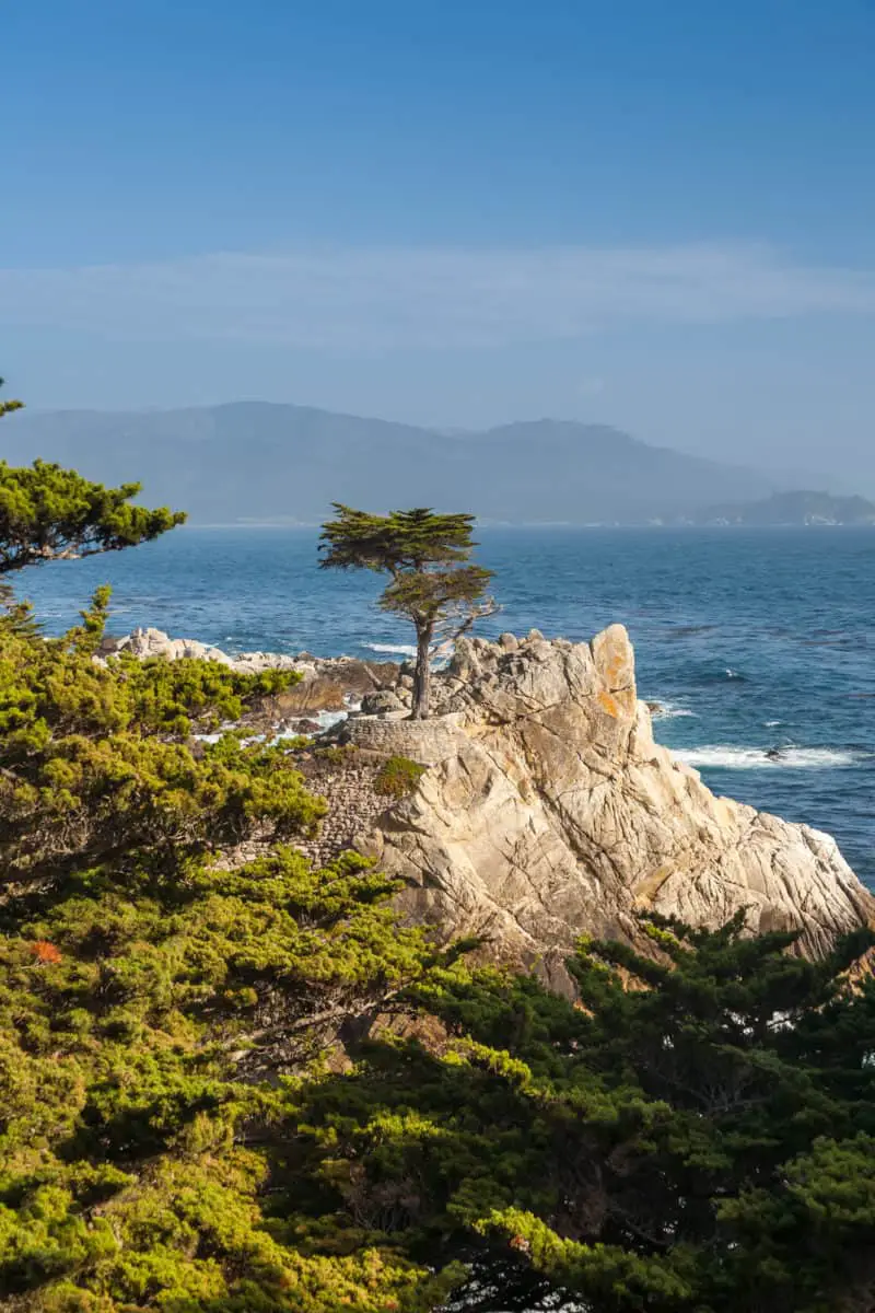 Island Coastline With Trees On Santa Cruz Island Channel Islands National Park California. - California View