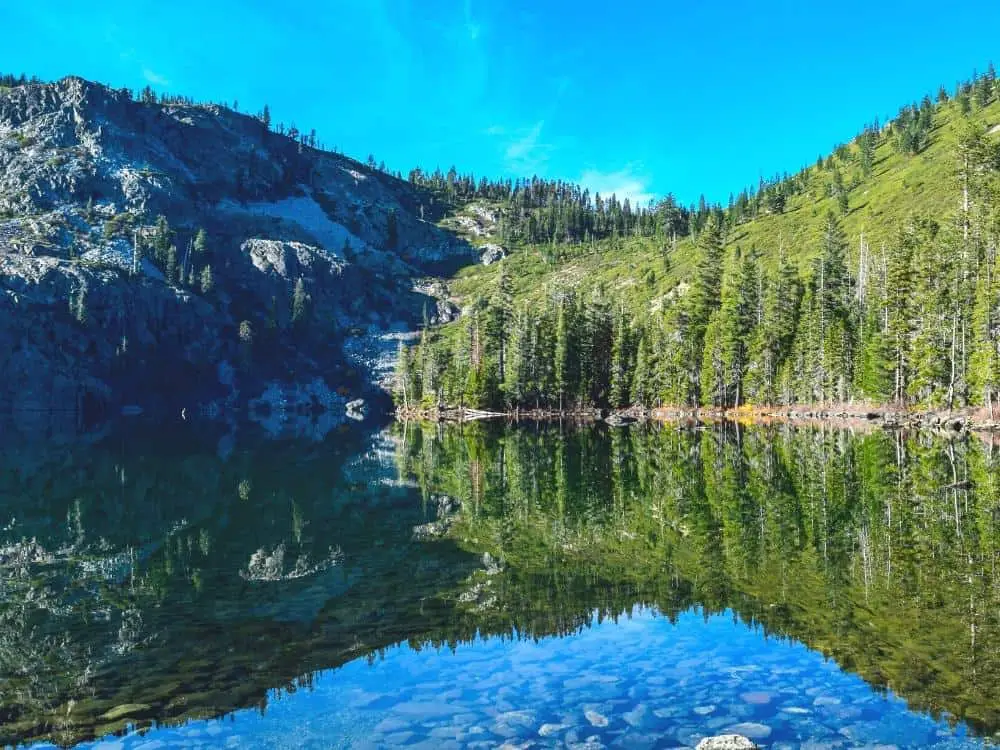 Lake Siskiyou and pines