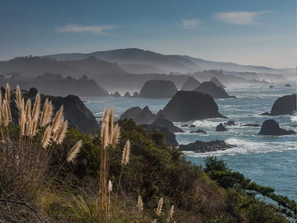 Mendocino County coastal view