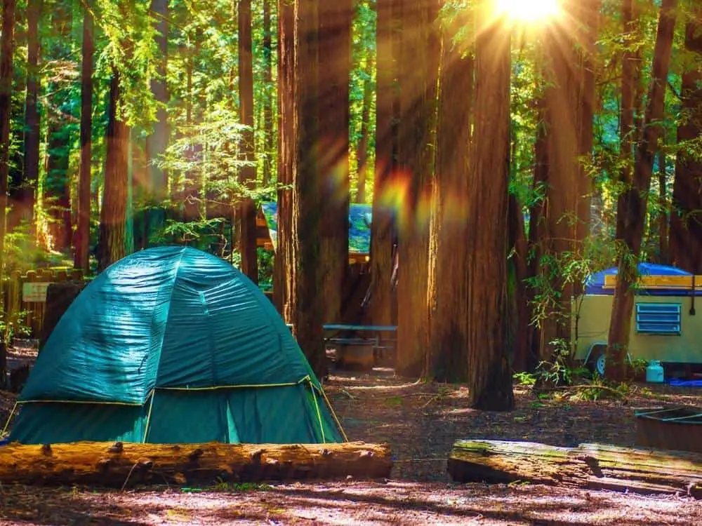 Redwood National Park Camping