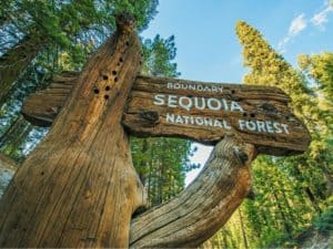 Sequoia National Park - Forest boundary sign