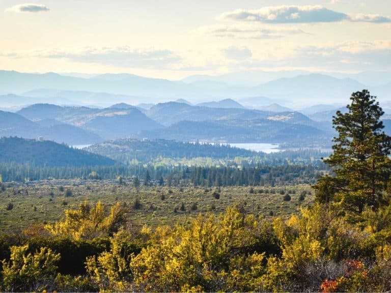 Shasta Trinity National Forest