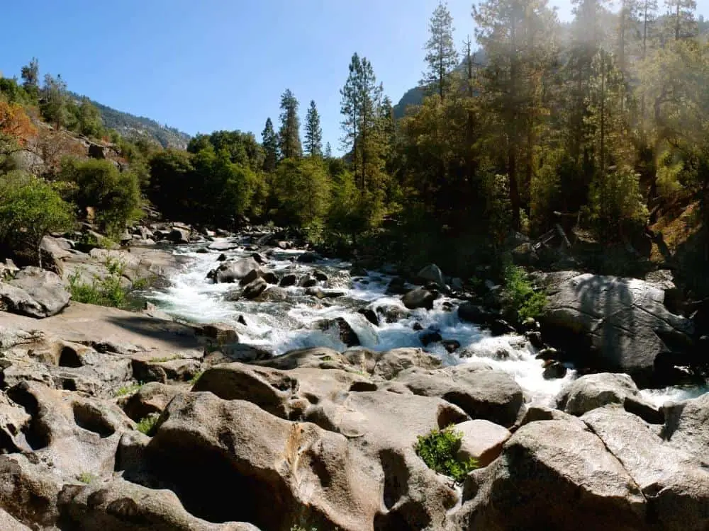 Stanislaus National Forest