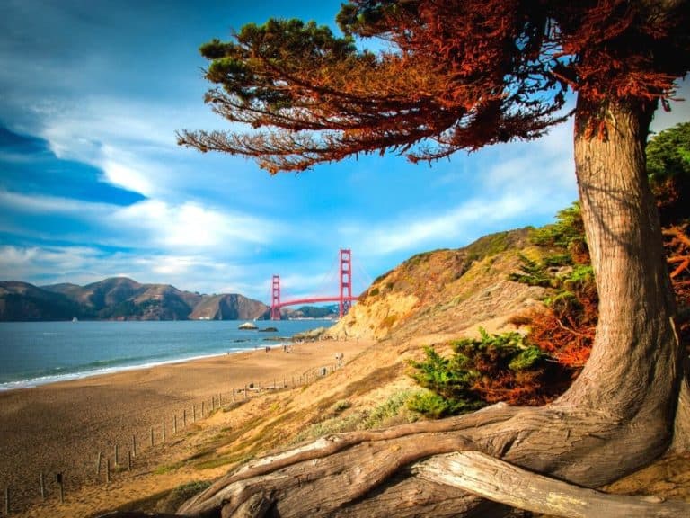 Golden Gate Bridge over a bay San Francisco Bay San Francisco California USA - California Places, Travel, and News.