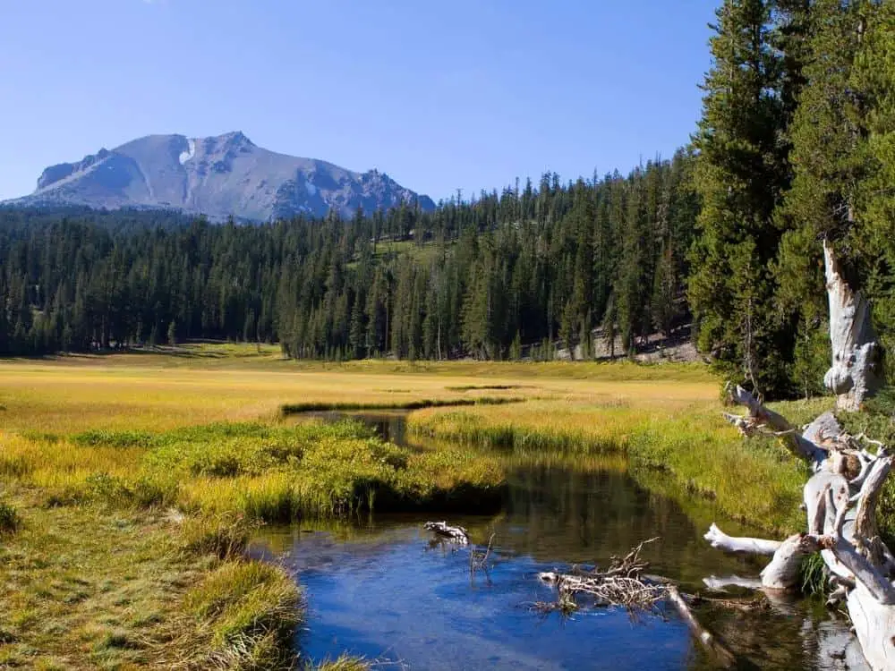 Kings Creek a mountain stream flows through the meadow at Lassen Volcanic National Park in California.