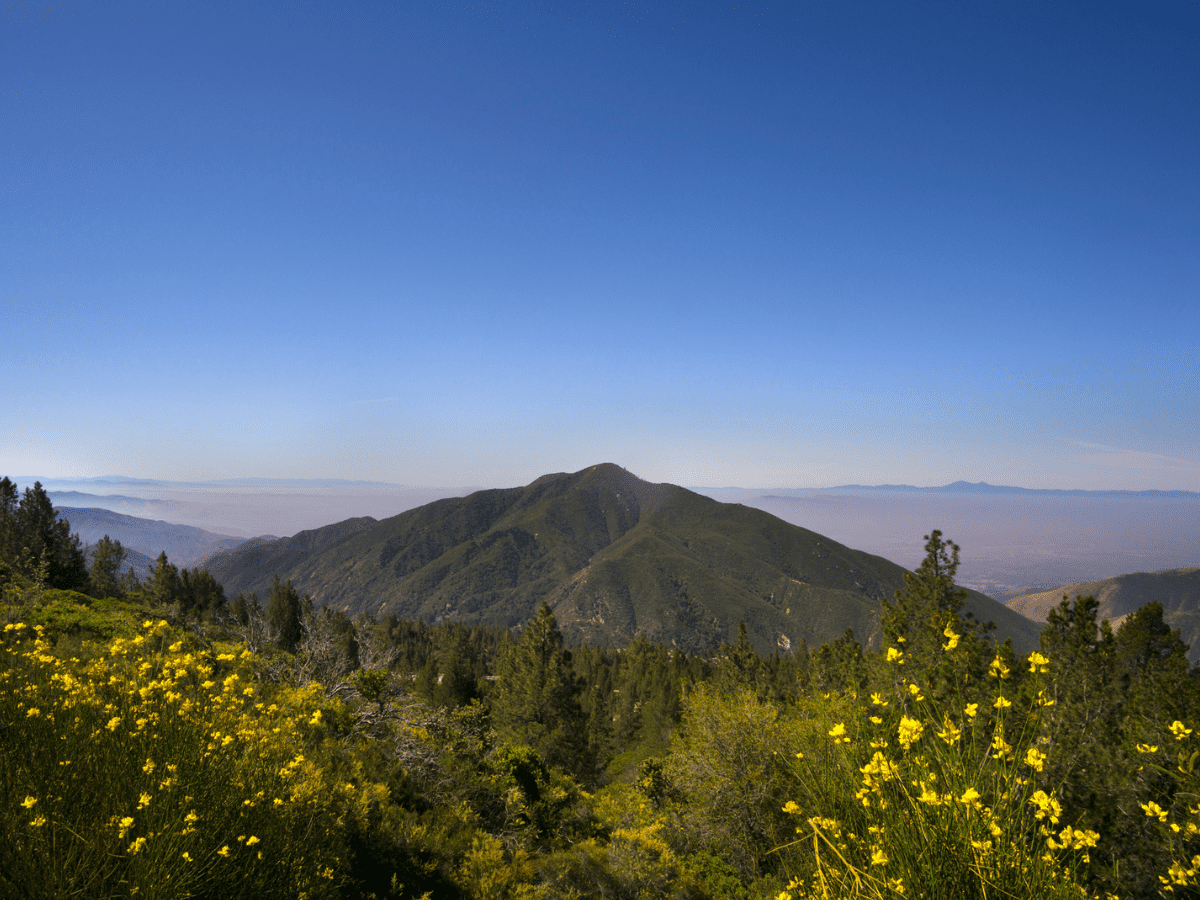 San Bernardino National Forest - California View