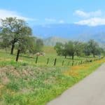 Tulare County California Rural Road - California View