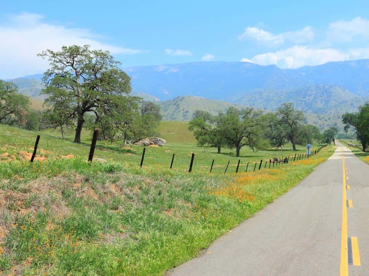 Tulare County California 2024   Tulare County California Rural Road 