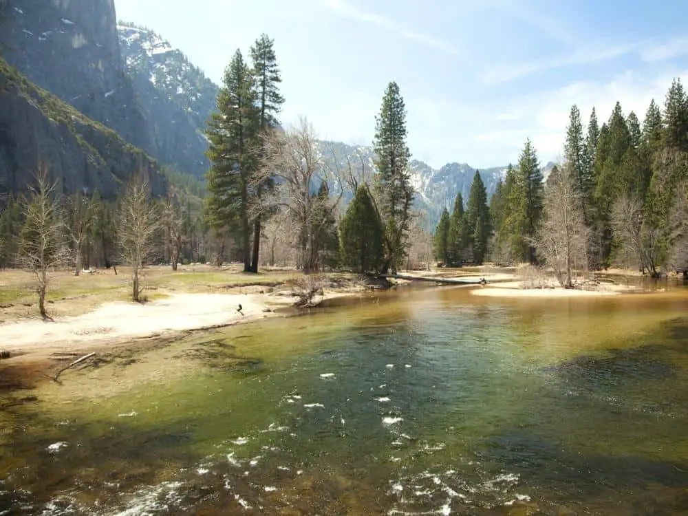 Yosemite Valley River On Spring Day - California View