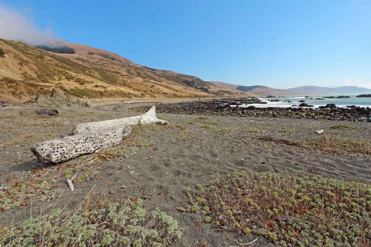 A pebble beach and driftwood logs against a bright blue sky off of Mattole Road on the Lost Coast of California. - California Places, Travel, and News.