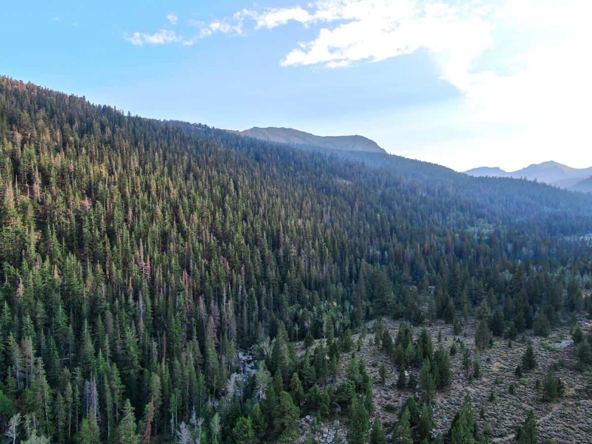 Aerial view of scenic mountains before vibrant sunset in Stanislaus National Forest California United States of America. - California Places, Travel, and News.