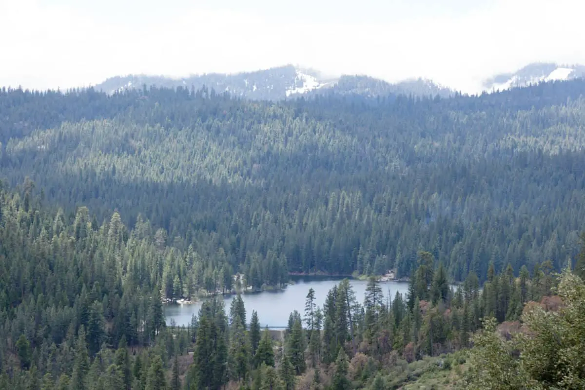 Hume Lake Is An Artificial Lake In The Sequoia National Forest Of Fresno County California. - California View