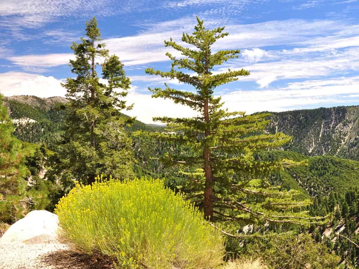 Looking over Big Bear Valley in the mountains of Alpine County California - California Places, Travel, and News.