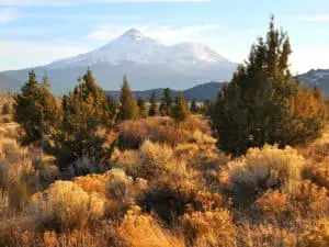 Mount Shasta in the Fall - California Places, Travel, and News.