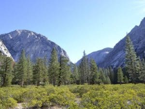 Picture taken on a sunny day in Kings Canyon National Park California. - California Places, Travel, and News.