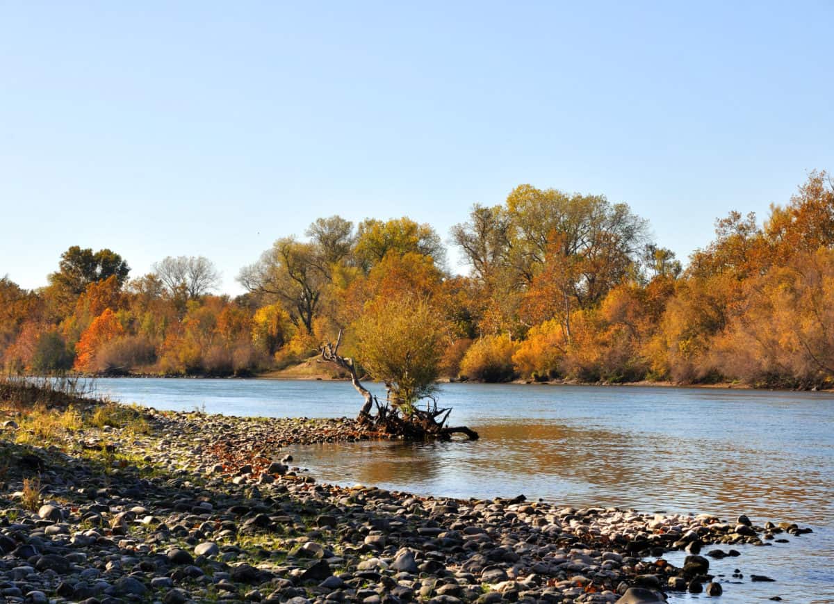 Sacramento River in the Fall - California Places, Travel, and News.