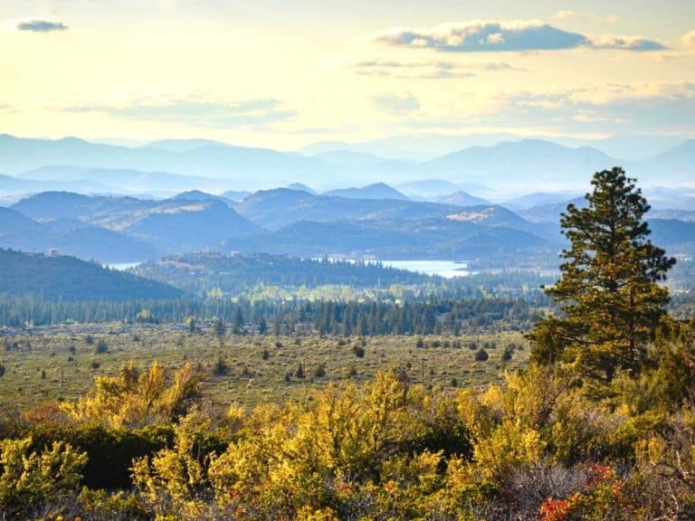 Shasta Trinity National Forest. - California Places, Travel, and News.