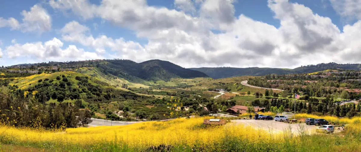 Aliso Viejo Wilderness Park View With Yellow Wild Flowers And Green Rolling Hills From The Top Hill In California. - California View
