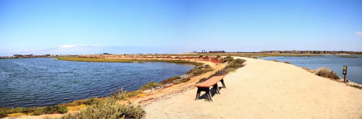 Bench Overlooking The Peaceful And Tranquil Marsh Of Bolsa Chica Wetlands In Huntington Beach California. - California View