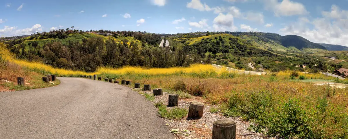 Winding road in Aliso Viejo Wilderness Park view in California. - California Places, Travel, and News.