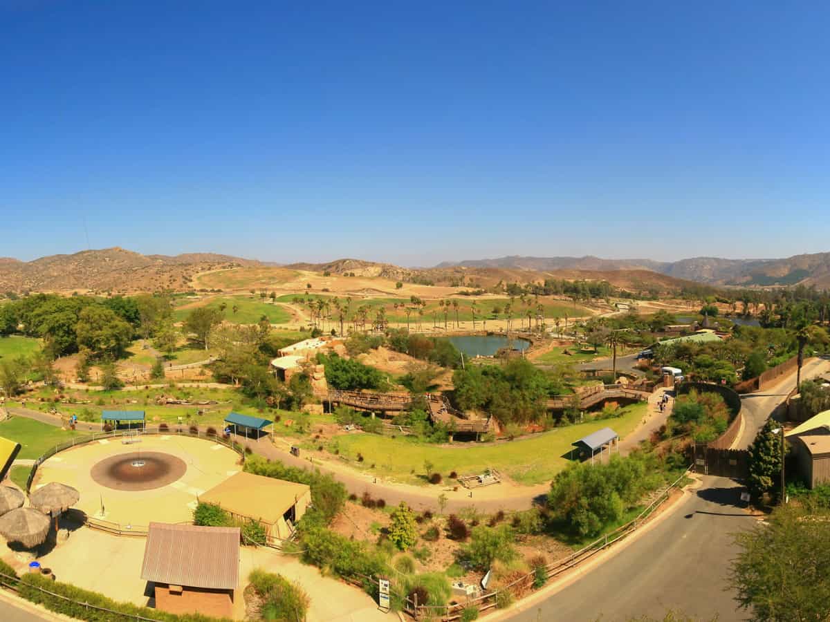 High angle view of the San Diego Zoo Safari Park. - California Places, Travel, and News.