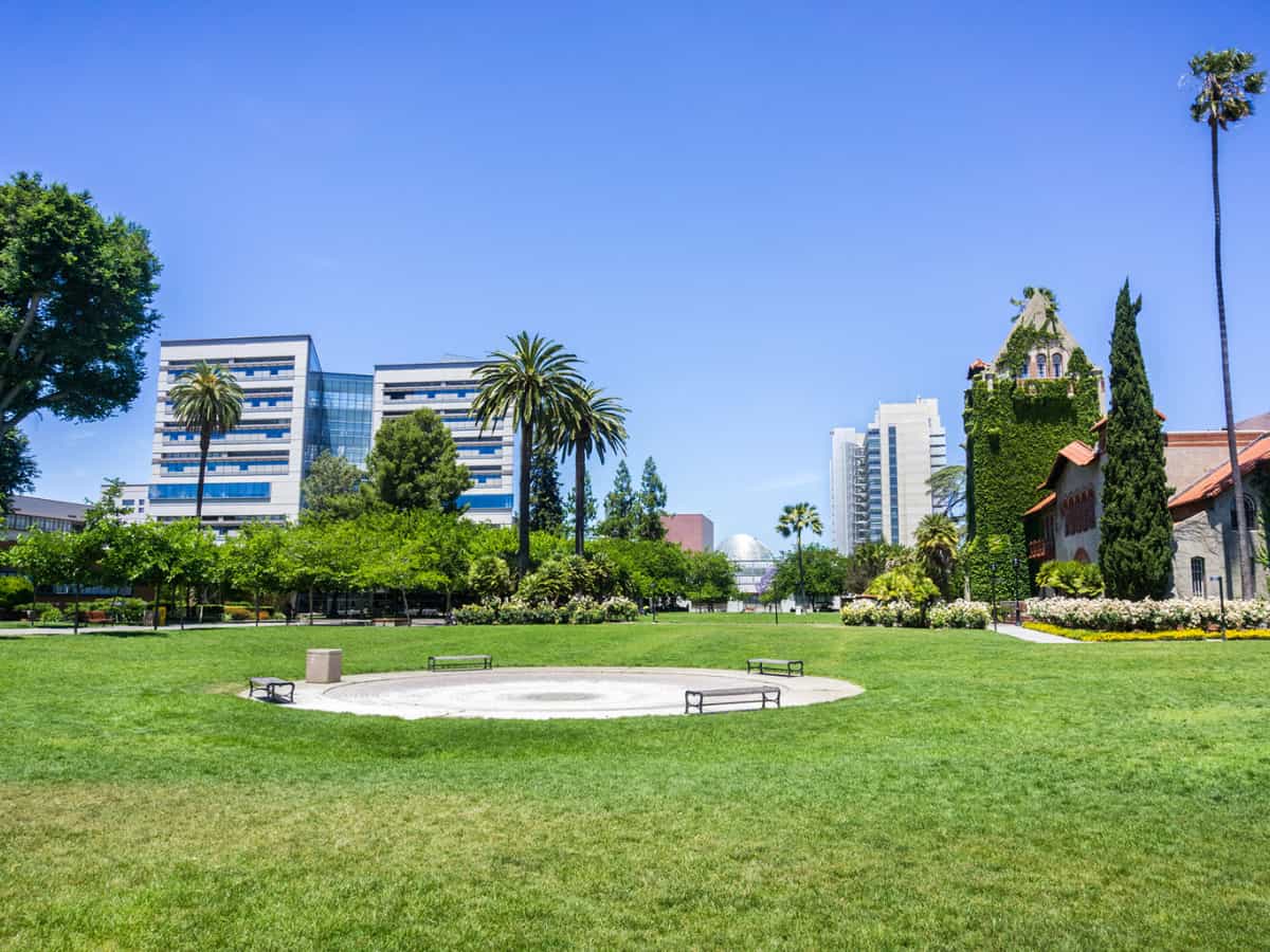 Landscape in the San Jose State University campus modern buildings in the background San Jose California. - California Places, Travel, and News.