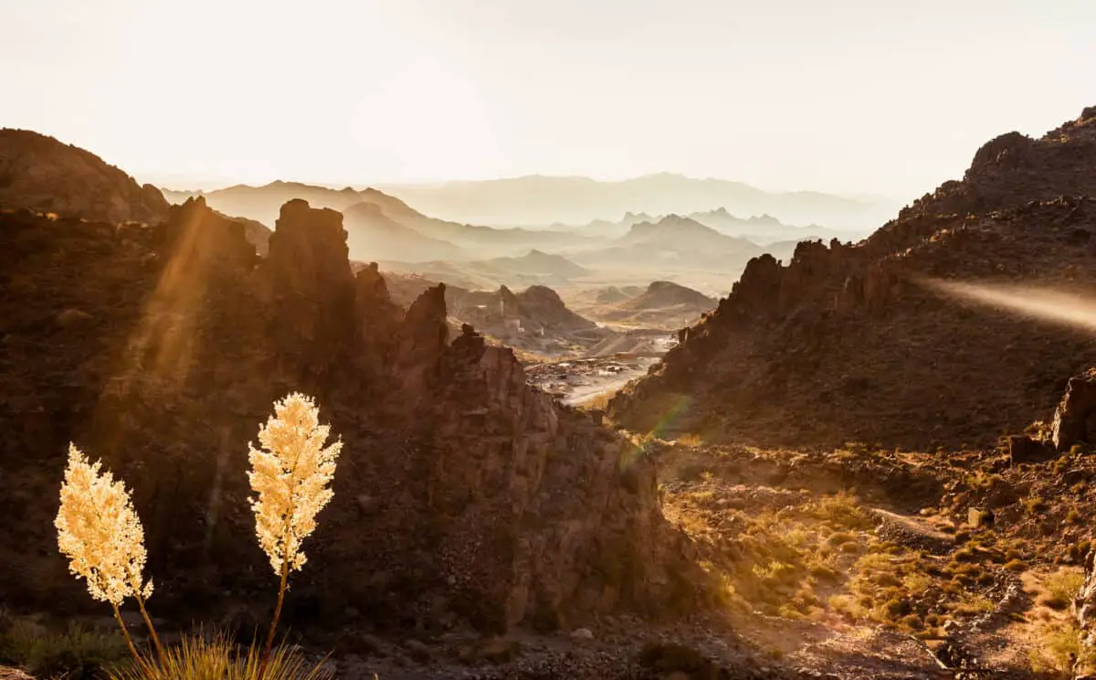 Mojave Desert Landscape - California View