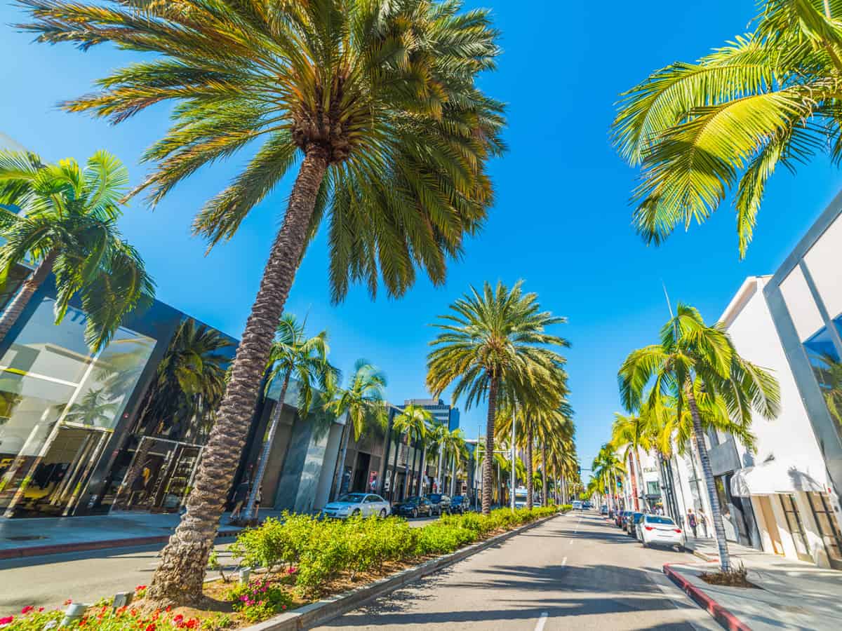 Palm trees in Rodeo Drive. - California Places, Travel, and News.
