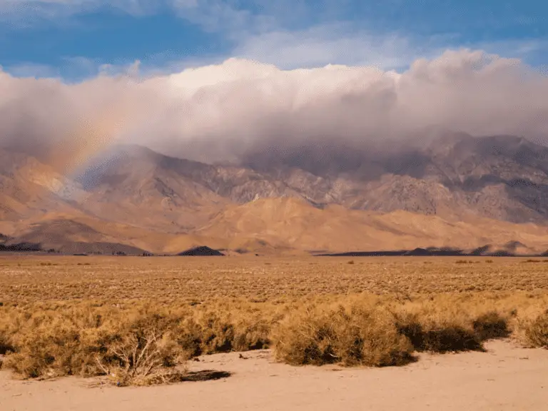 It Rains In California (How Much and When) 2024