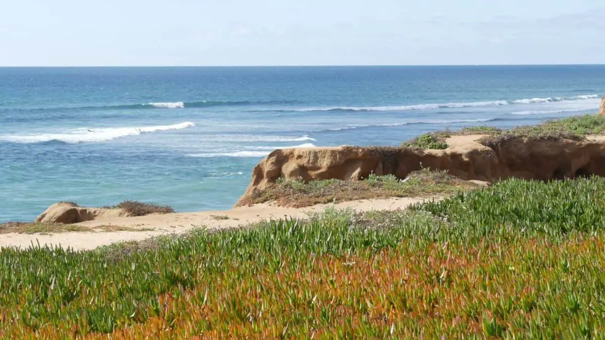 Seascape vista point viewpoint in Carlsbad California coast USA. Frome above panoramic ocean tide blue sea waves steep eroded cliff. Coastline shoreline overlook. Green ice plant succulent lawn. - California Places, Travel, and News.