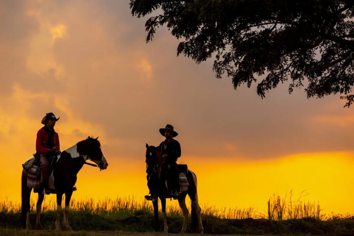 A cowboy riding a horse in the sunset is silhouetted in black. - California Places, Travel, and News.