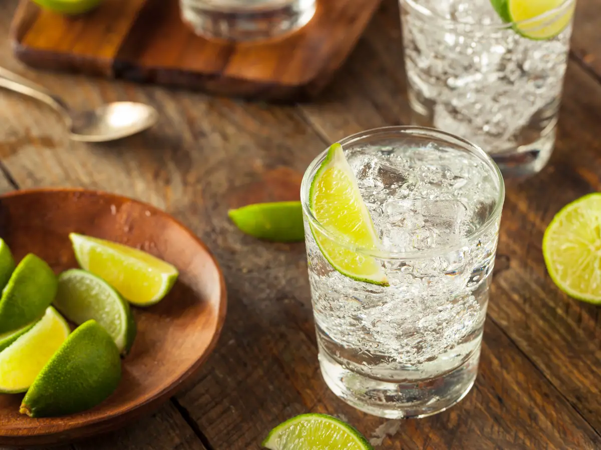 Gin and Tonic - California Places, Travel, and News.
