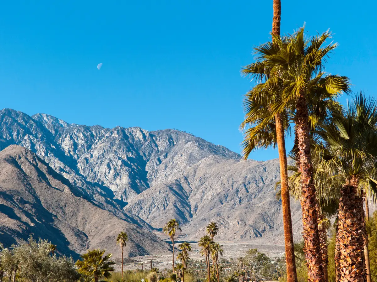 Palm Springs California - California Places, Travel, and News.